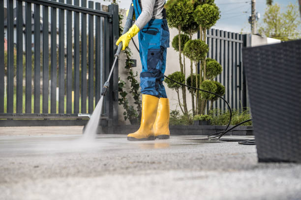 Best Local Pressure Washing Services  in Jackson, MI